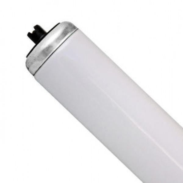 T12 Linear Fluorescent