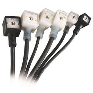 Product image for ABRA 889Z-LD2DRD-2 CORDSET DIN STD C