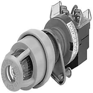 Product image for Type 7_9 Pilot Light 800HL PB