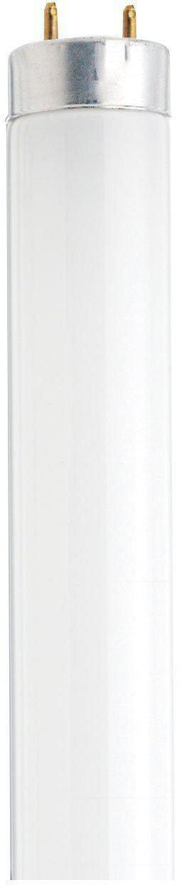 Product image for EIKO F25T8/865/LL/NL 04833 LAMP T8 FLUORESCENT 6500K 25W 80+ CRI