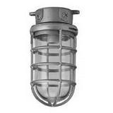 Product image for Incandescent Vapourtight Ceiling Luminaire, with Clear Globe. Cast Guard