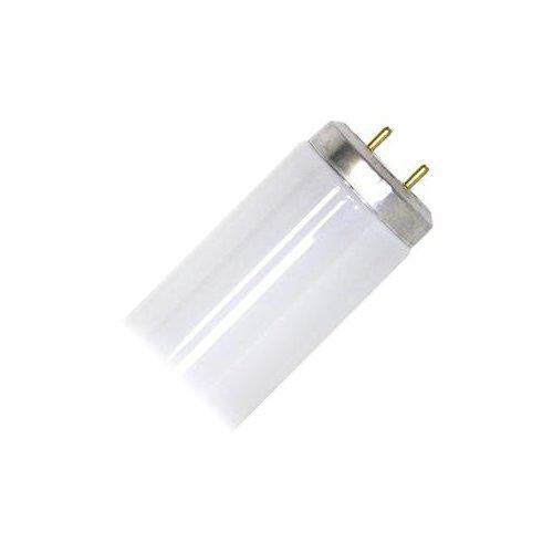 Product image for Lamp fluorescent T12 40W G13 5000K 48inch