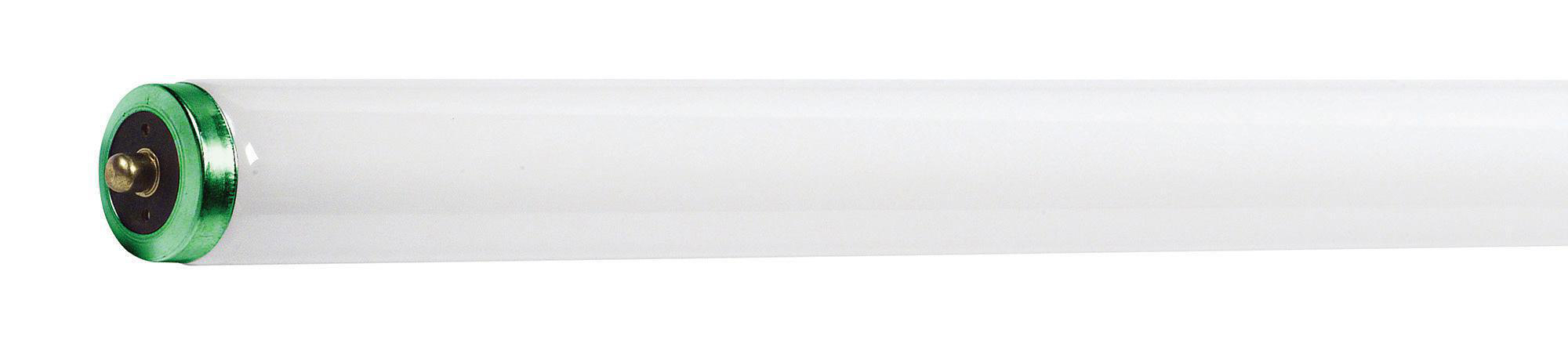 Product image for Lamp fluorescent T12 ALTO 60W Fa8 4100K 96inch