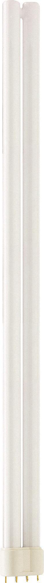 Product image for Lamp compact fluorescent PL-L 55W/95 2G11