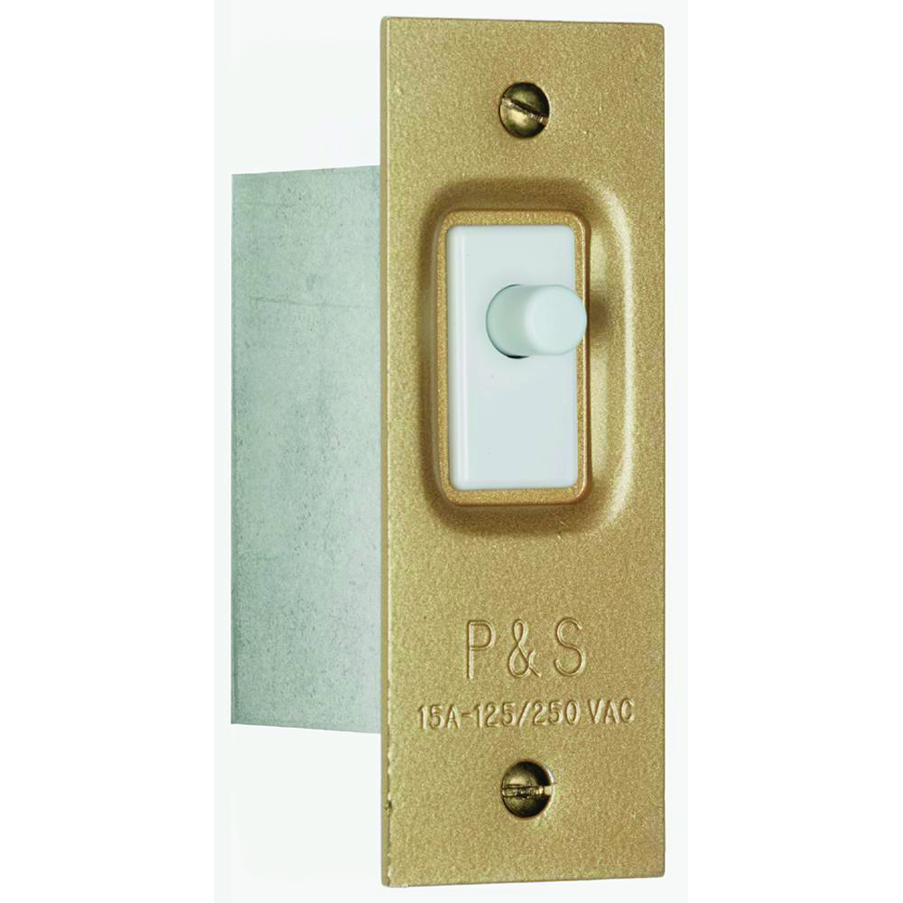 Product image for Switch door light NC 120V 15A wire leads brass
