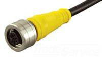 Product image for BRADH 804000D01M050 1200650368 MIC 4P FP 5M #22AWG BRD PVC