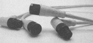 Product image for Cordset 5-pole single end 90.. male 22AWG 6.56'