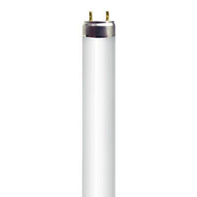 Product image for Lamp fluorescent T8 10W G13 6000K