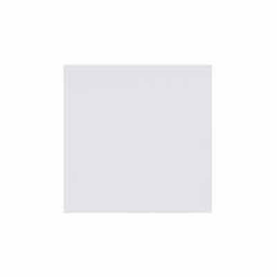 Product image for Lens flat sheet in acrylic 0.125" thickness 2x4" opal
