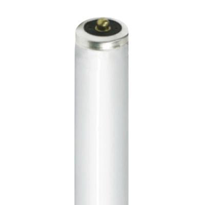 Product image for Lamp fluorescent T8 59W G13 5000K 96" long