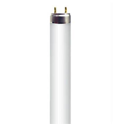 Product image for Lamp fluorescent T8 18W G13 6500K 925 lumens