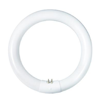 Product image for Lamp fluorescent T9 30W G10q 2700K 2000 lumens