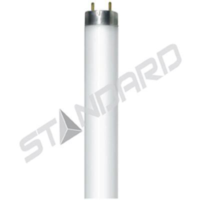 Product image for Lamp fluorescent T8 32W G13 4100K 48" long