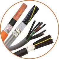 cabolf0030956
