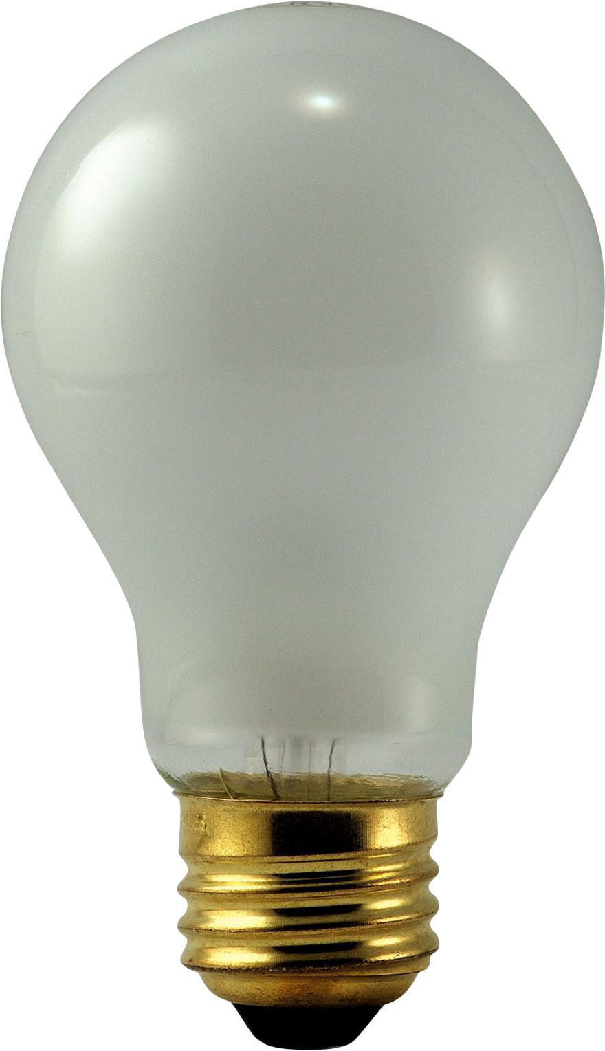 Product image for Lamp A19 50W 12V E26 frosted