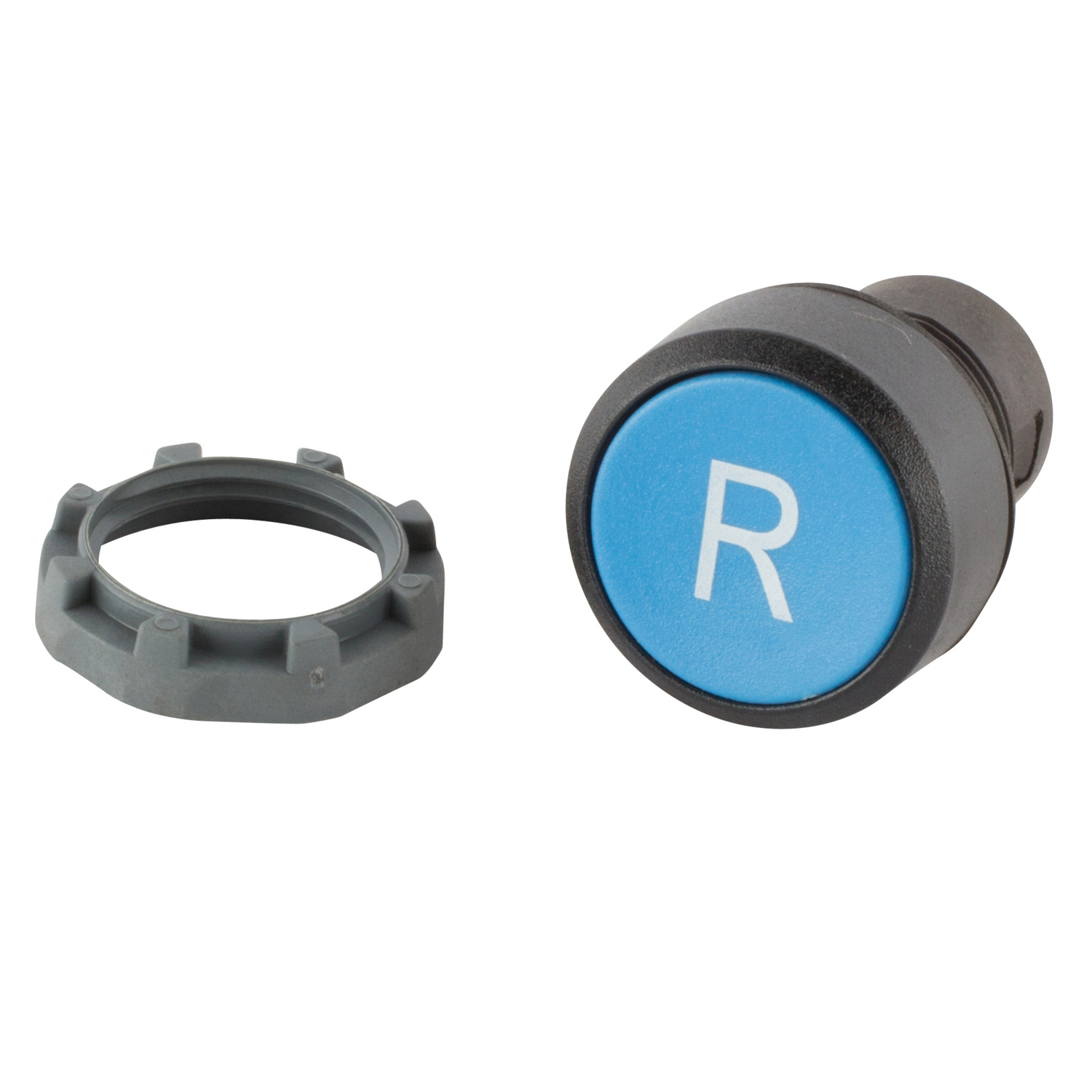 Product image for RESET BUT,W/OSHAFT,BLU,FLUSH,R