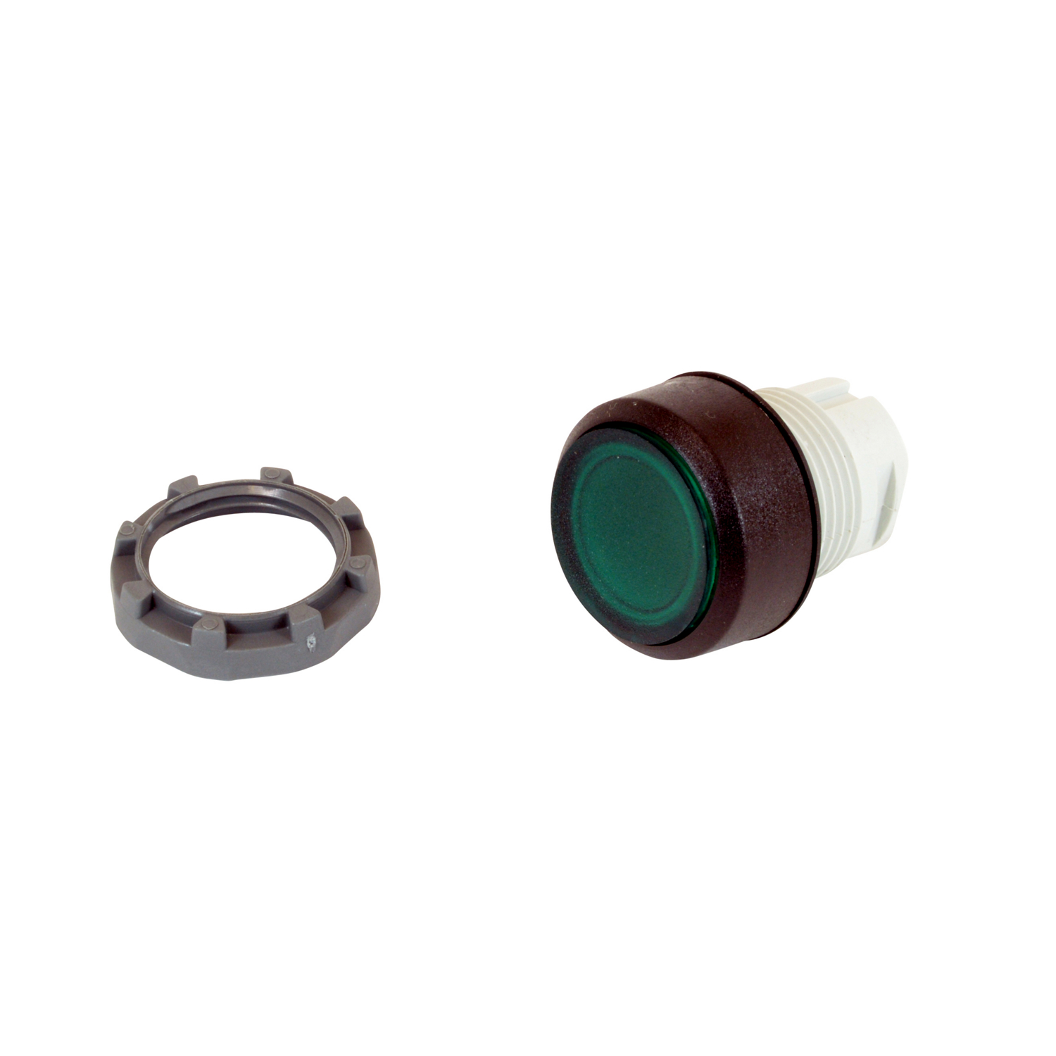 Product image for PB MAIN GRN FLUSH ILL