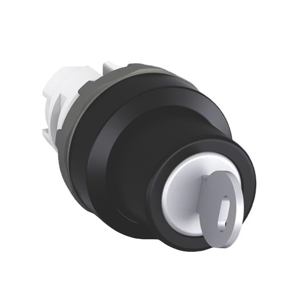 Product image for 2 FIX POS,KEY REM B-C,CODE 73