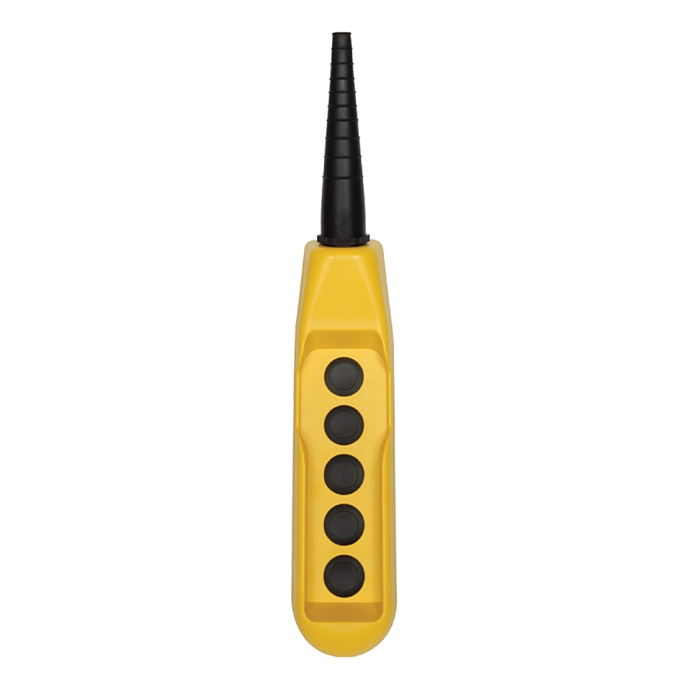 Product image for 22mm Pendant Station 800F PB