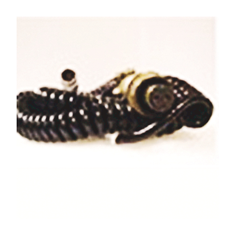 Product image for Cable accelerometer for Fischer