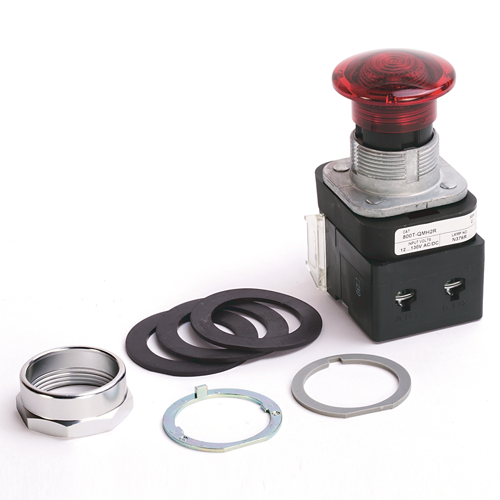 Product image for 30mm Momentary Push Button 800T PB