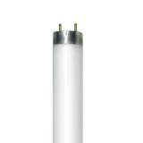 Product image for NL-T8 18W/21-840/G13 RAD