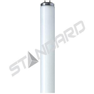 Product image for F40T12/BL/RS