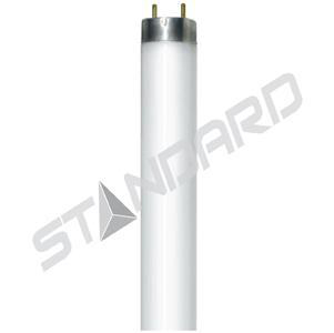 Product image for F32T8/835K/XL31/STD