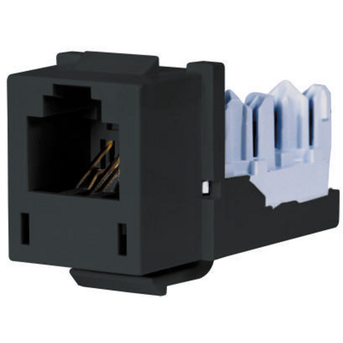 Product image for Jack USOC 6-pos thermoplastic black XCELERATOR