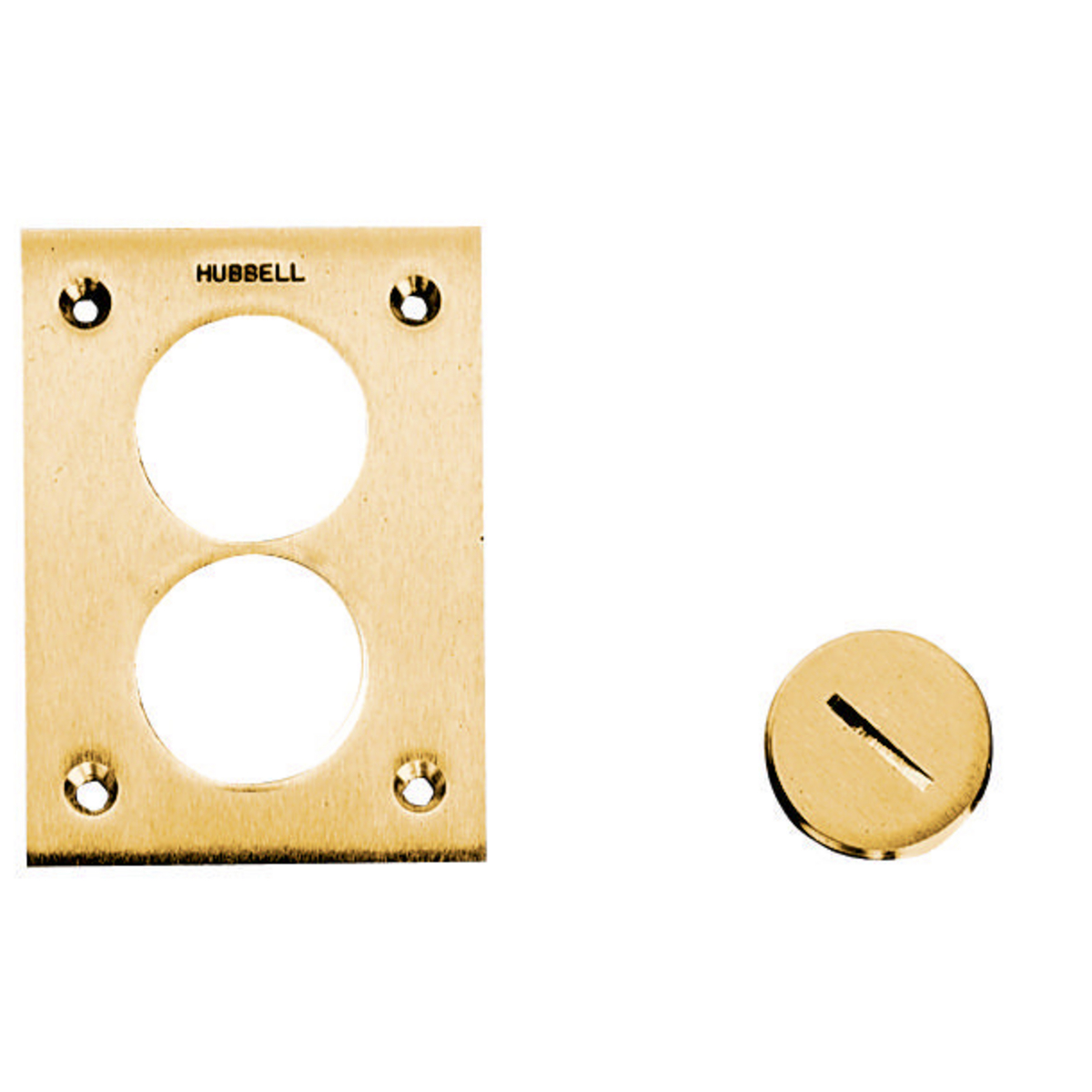 Product image for Plug flush brass for floor box 2-3/8"