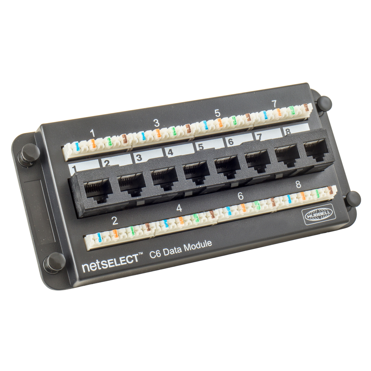 Product image for Module data 8-port CAT-6 plastic black
