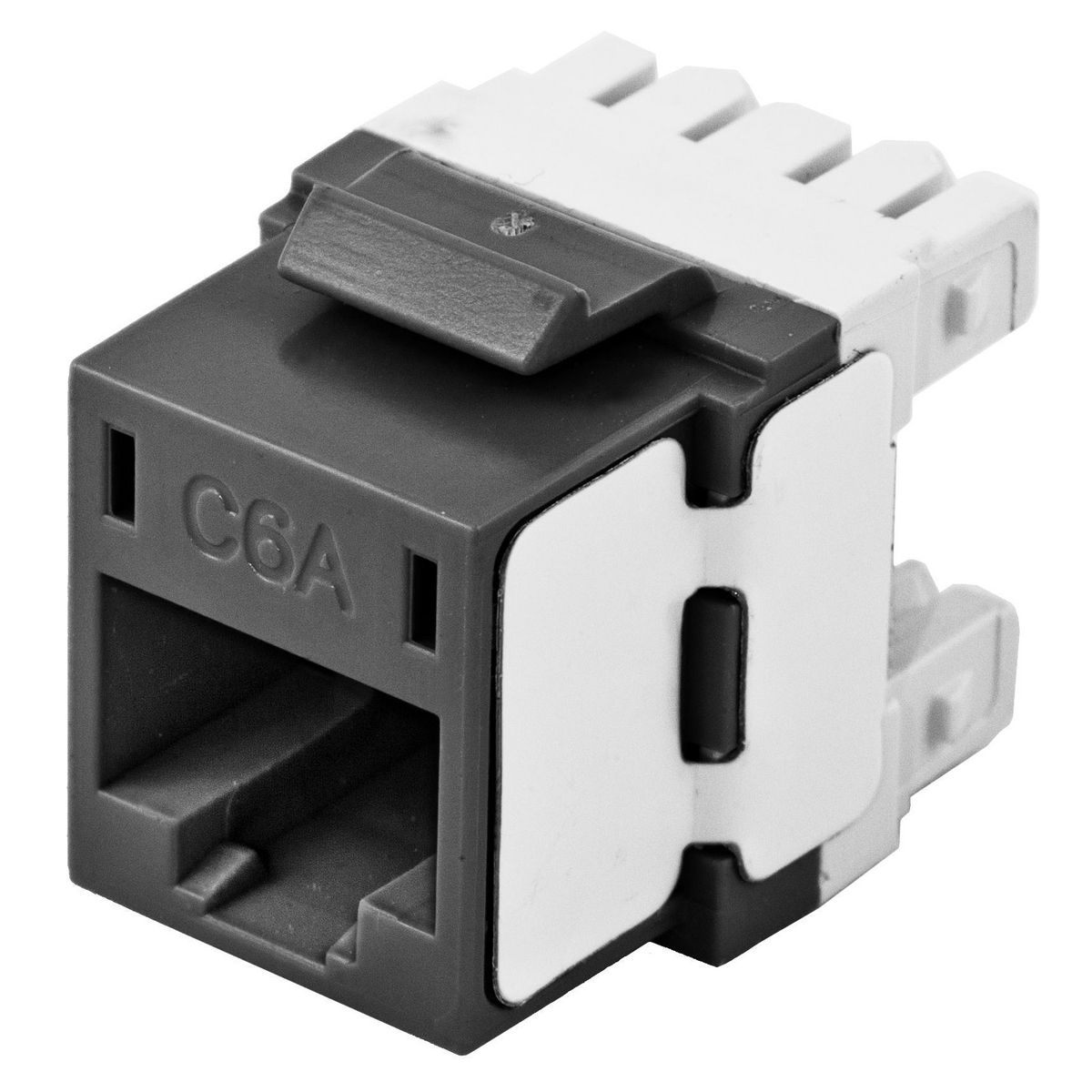 Product image for Jack category 6a delivery 1/pack black