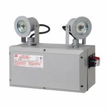Product image for LED EMERGENCY LT 28WT PS W 2 LAMPS