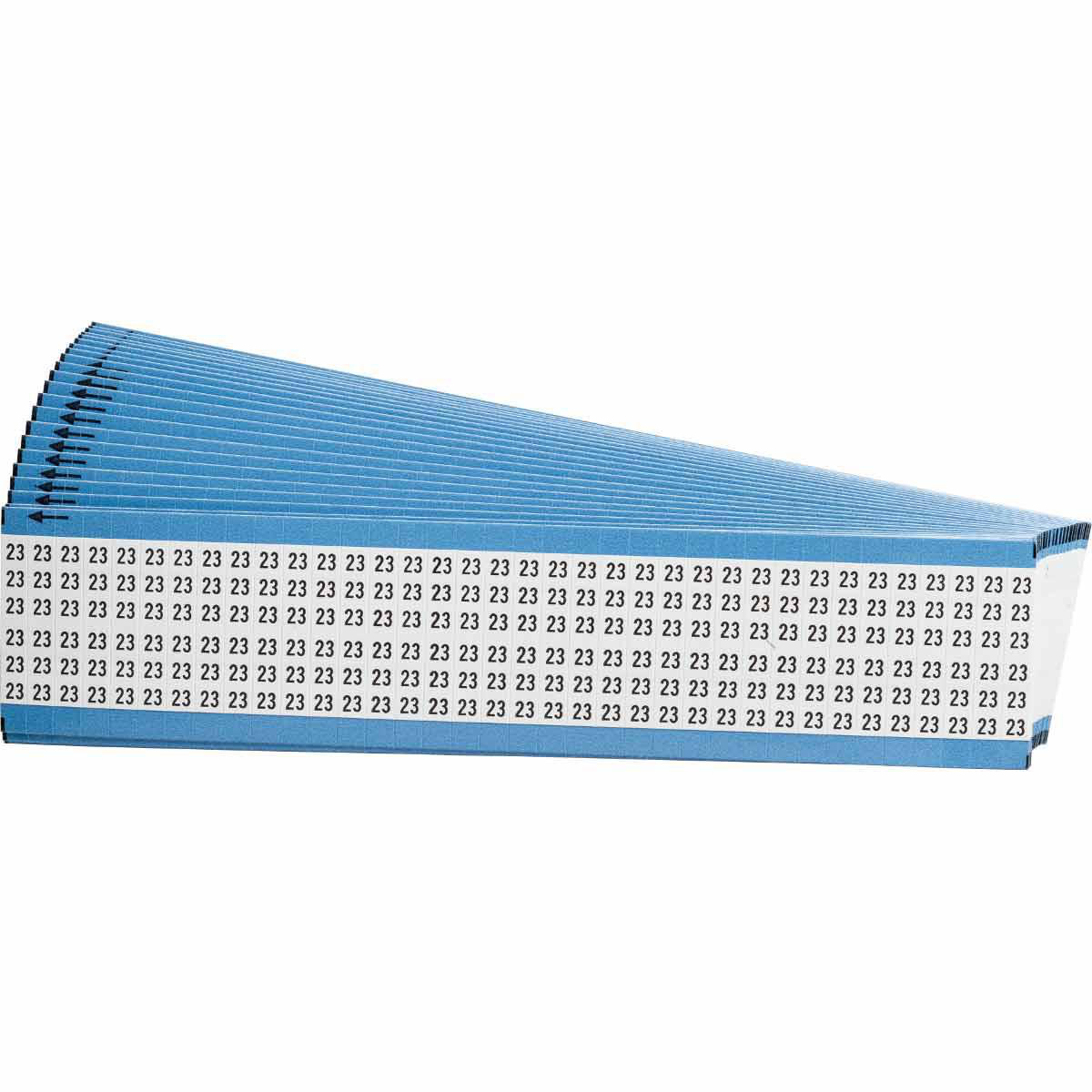 『tm』　wirrow 23aw 80V 42