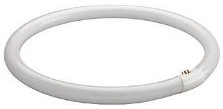 Product image for FLUORESCENT CIRCULAR LAMP