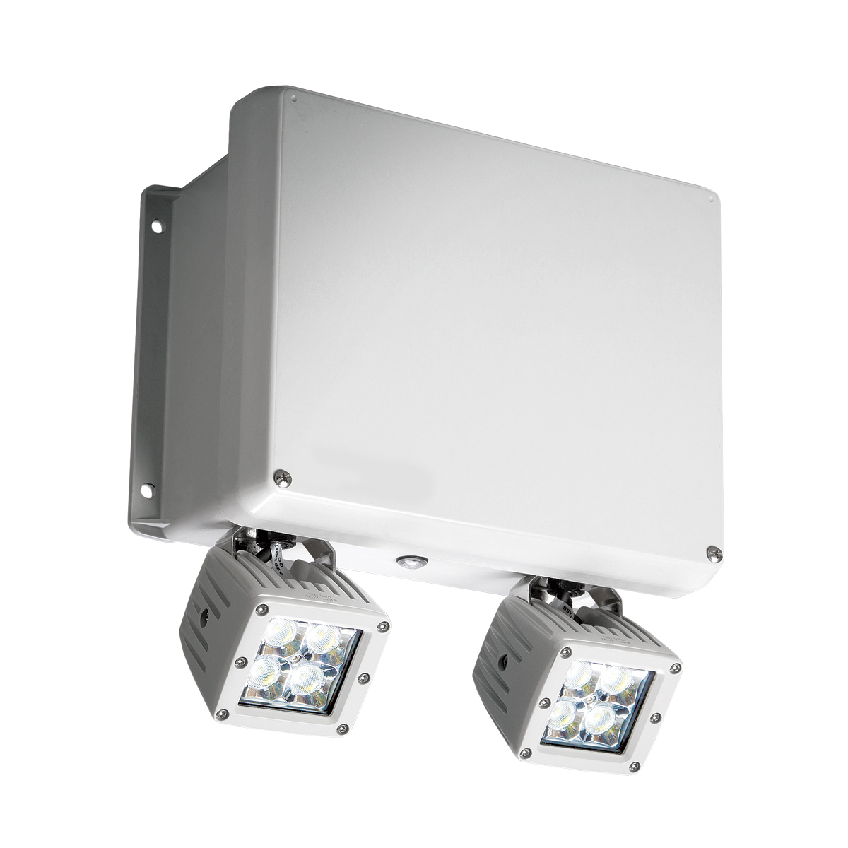 Product image for 24V EM HP NEMA-4X UNIT