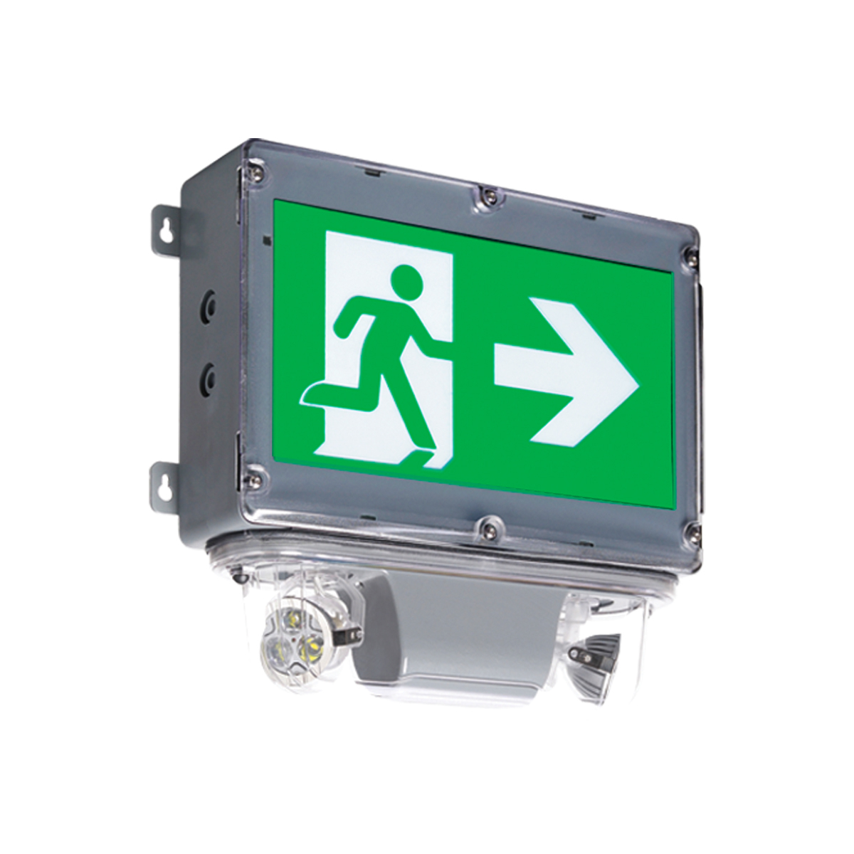 Product image for COMBO 12V SGL PICTO HAZARD C/W ADNA