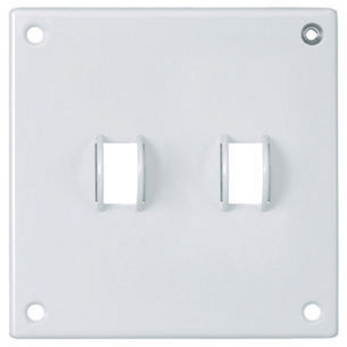 Product image for Wallplate security 2-gang 2-toggle steel white