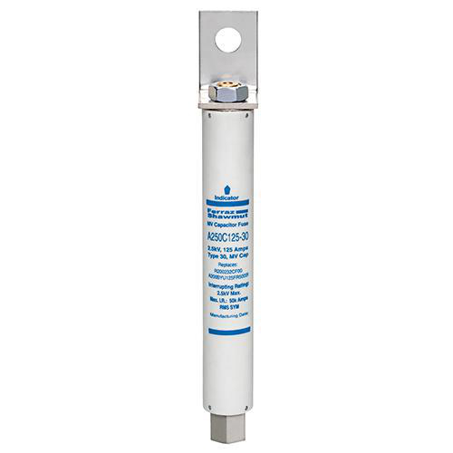 Product image for Medium Voltage Capacitor Fuse 2500VAC 125A Female Stud To L Bracket Visual Indicator Amp-Trap®