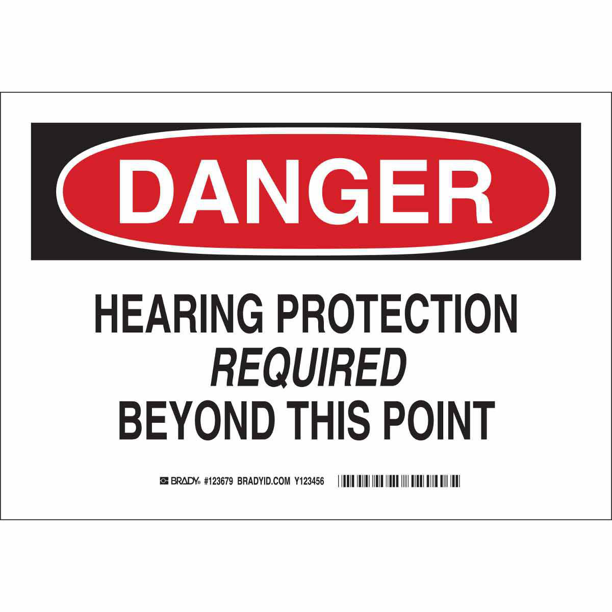 Product image for DANGER Hearing Protection Required Beyond This Point Sign, 10" H x 14" W x 0.06" D, Polystyrene