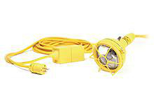 Product image for 12V 100W LOVOLT SPOT W/SW
