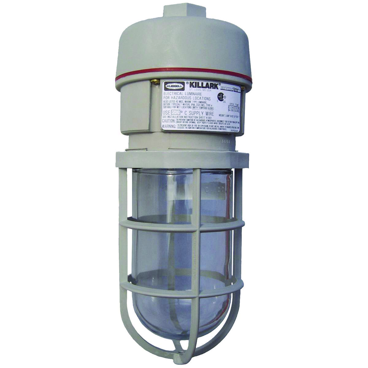 Product image for INCAN 150W PEND STD GLOBE/GRD