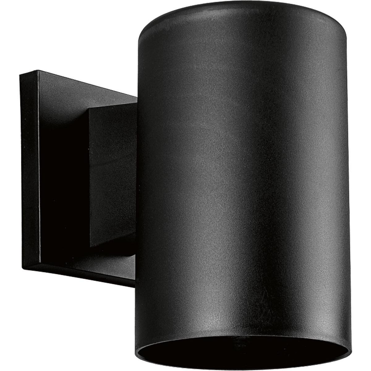 Product image for P5712-31 1-75W PAR 30 5IN DN CYL