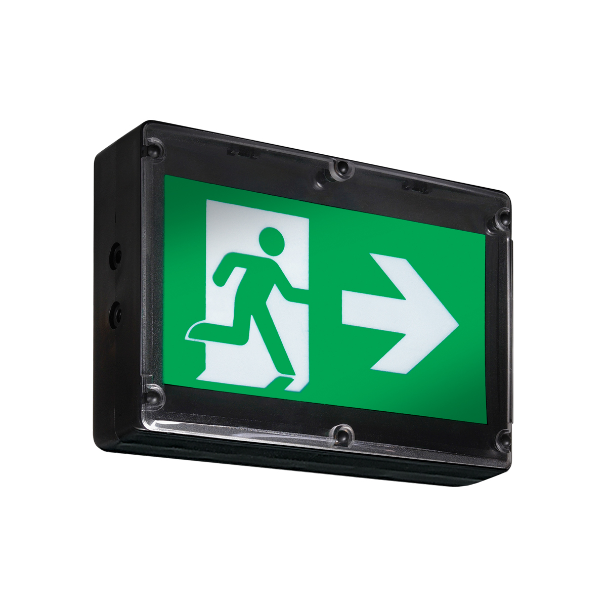 Product image for NEMA-4X PICTOGRAM SIGN 120-347AC