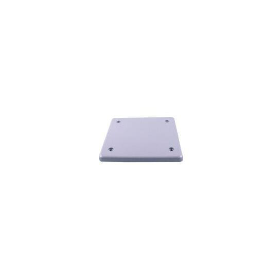 Product image for PVC BRC20-2 COVER 2GANG BLANK W/ GASKET 077614