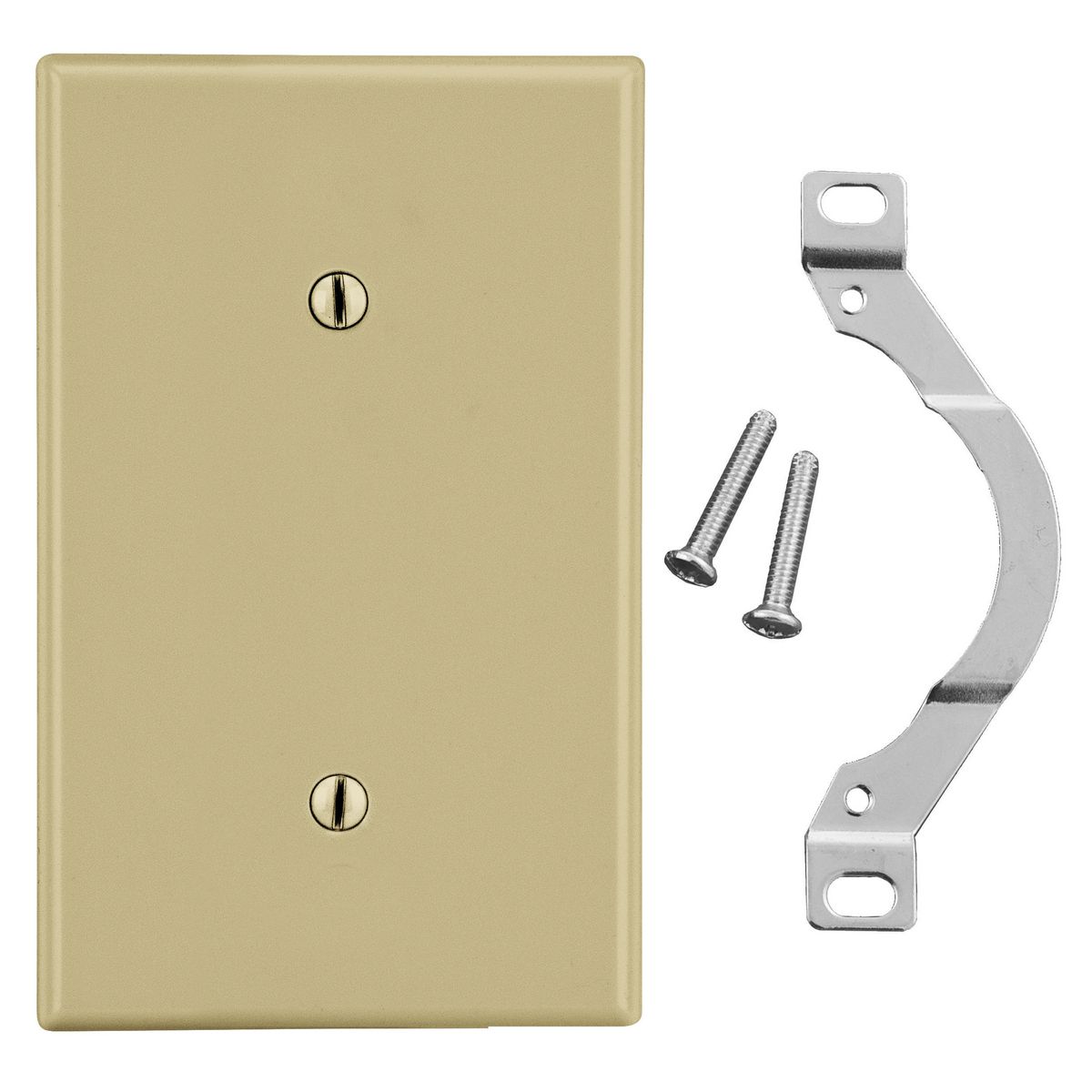 Product image for Wallplate, Blank Strap Mount
