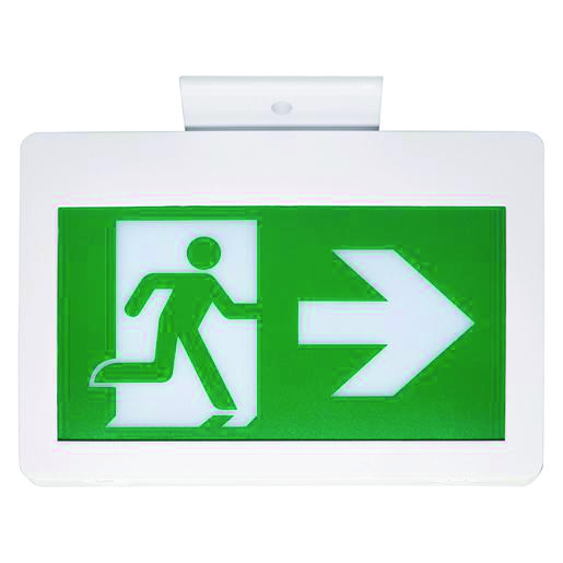 Product image for STEEL SIGN PICTO 120-347V AC