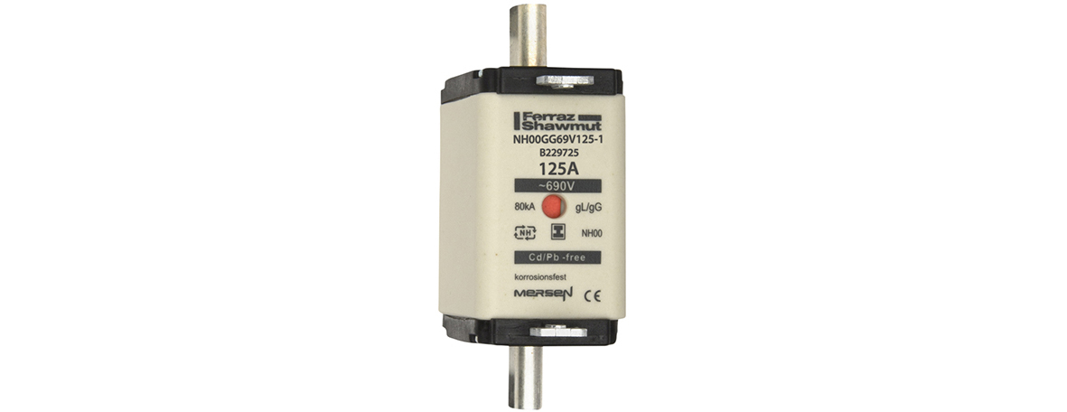 Product image for DIN NH Standard fuse-link gG Size NH00 690VAC 250VDC 125A isolated tags Double indicator Body width 30 mm