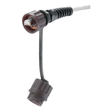 Product image for Cat 5e, 24 AWG, Modular Plug