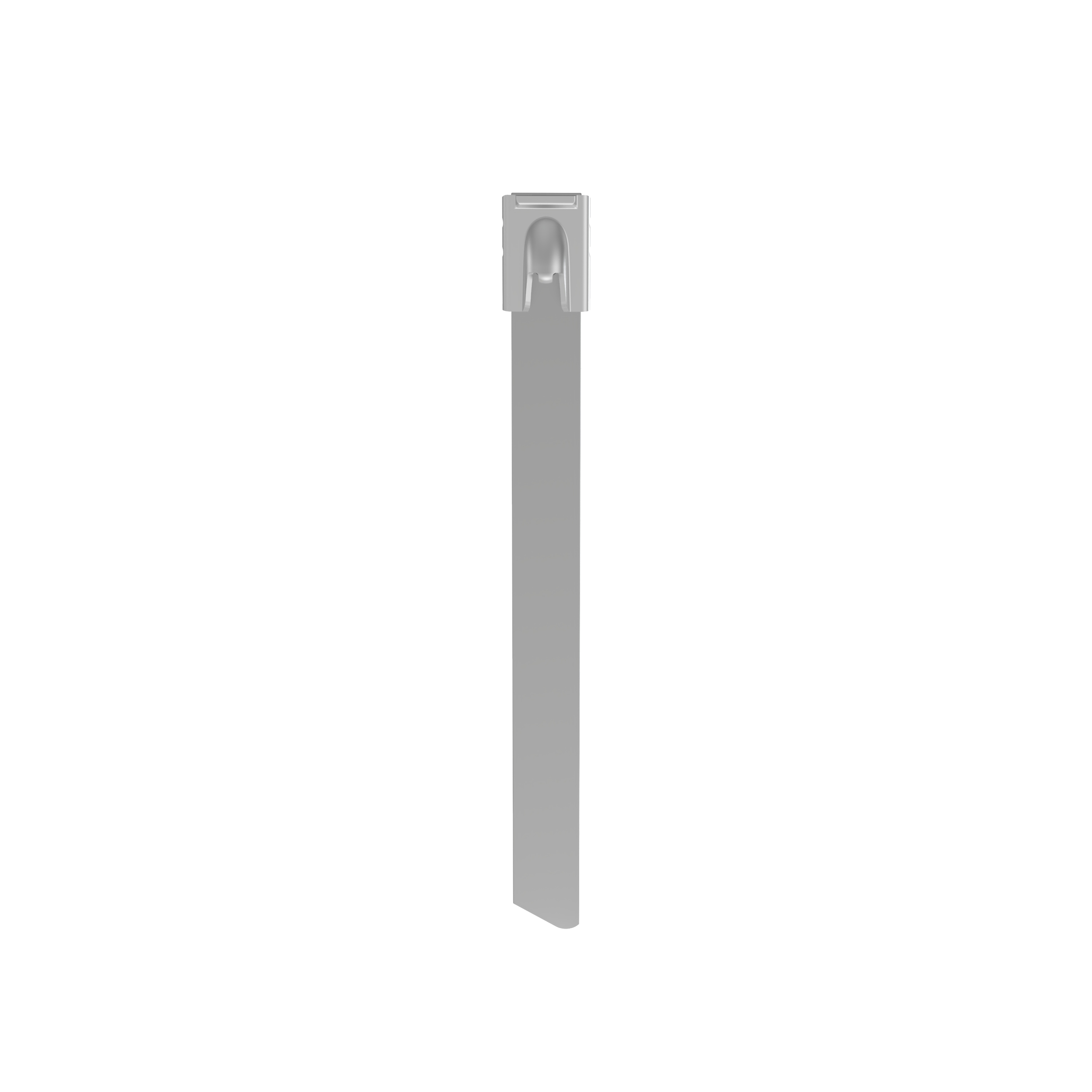 Image thumbnail 1